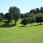 auf dem golfplatz