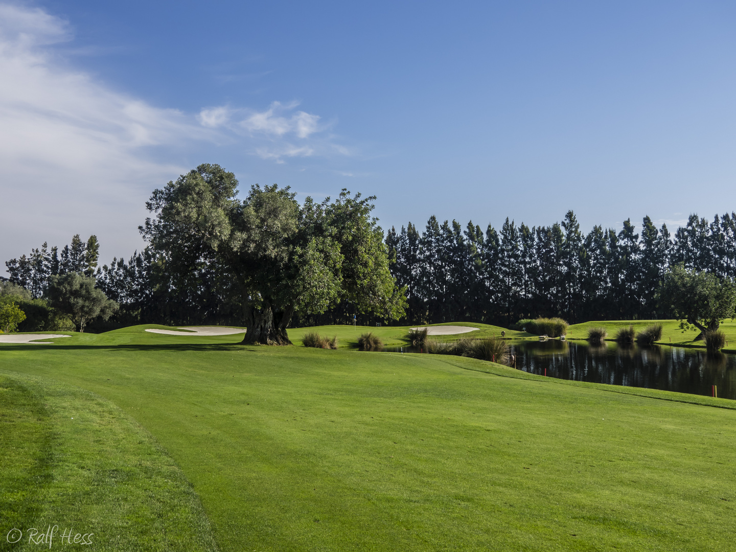 Auf dem Golfplatz Quinta da Ria.