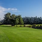 Auf dem Golfplatz Quinta da Ria.