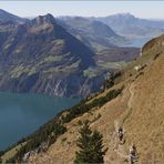 auf dem Gratweg über der Innerschweiz