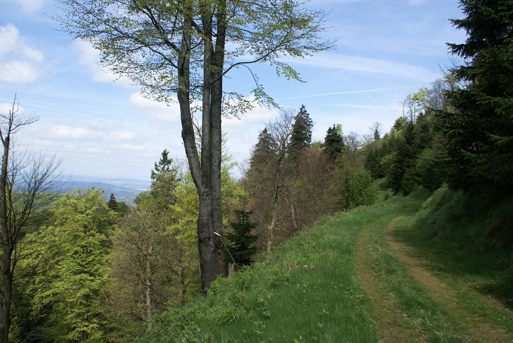 Auf dem grauen Weg am Inselsberg