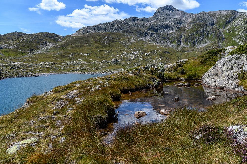 Auf dem Grimselpass