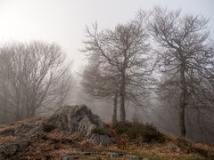 Auf dem Großen Inselsberg