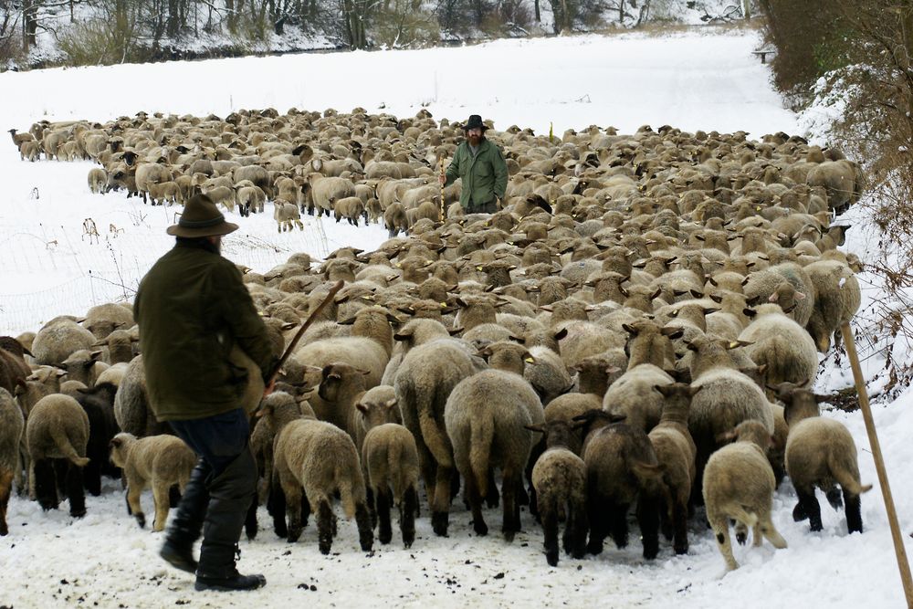 Auf dem grossen Weihnachtstrail, Widmung an den Schäfer Thomas Stumm