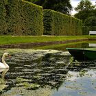 auf dem Grund des Schlossteichs ...