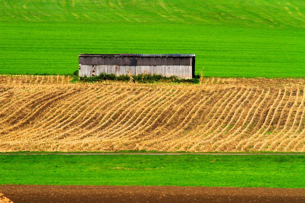 Auf dem Gudensberger Panoramaweg