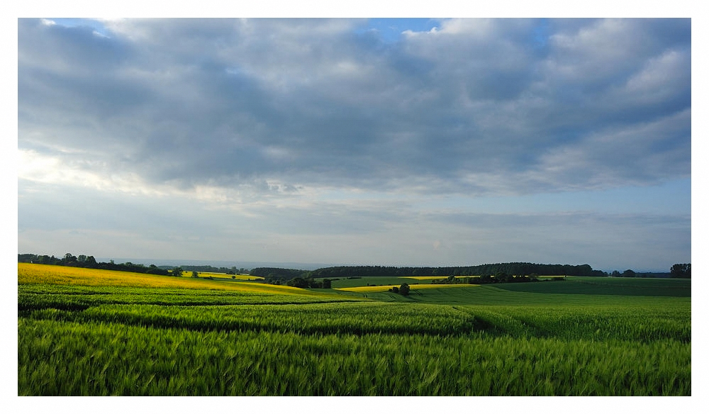 Auf dem Haarstrang bei....