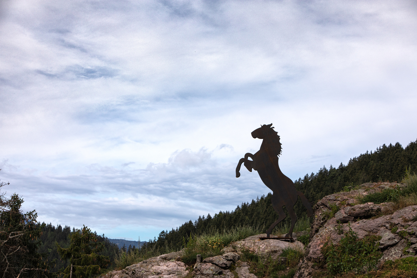 auf dem Haflinger Erlebnisweg