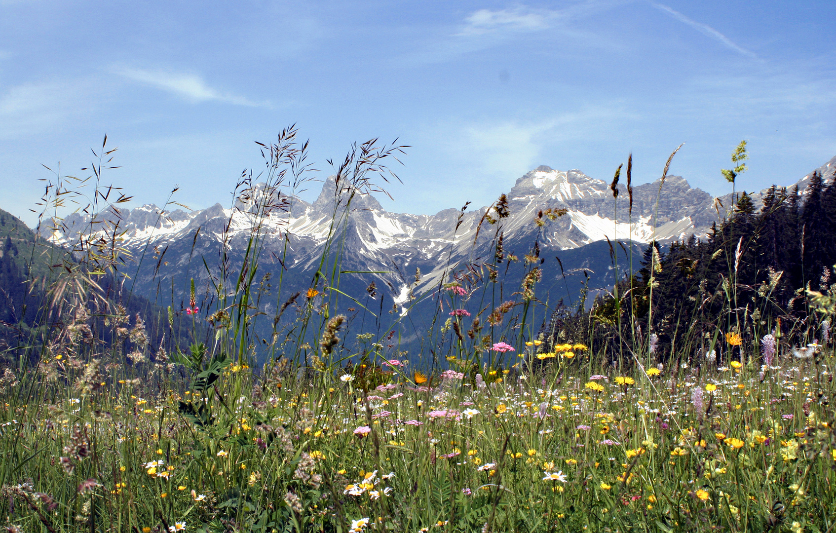 Auf dem Hahntennjoch