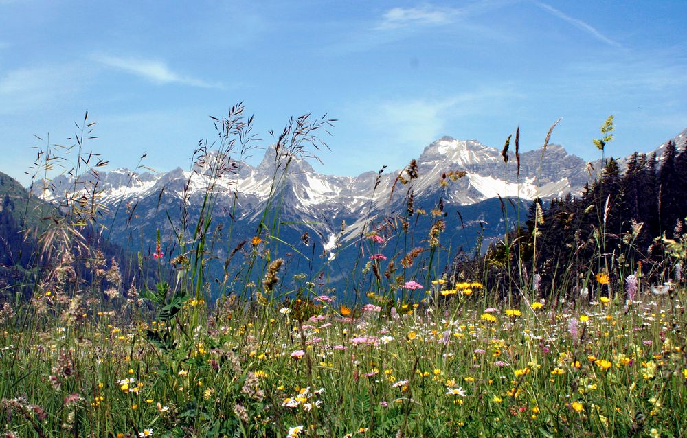 Auf dem Hahntennjoch