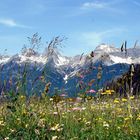 Auf dem Hahntennjoch