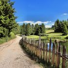 Auf dem Hans- und Paula-Steger-Weg