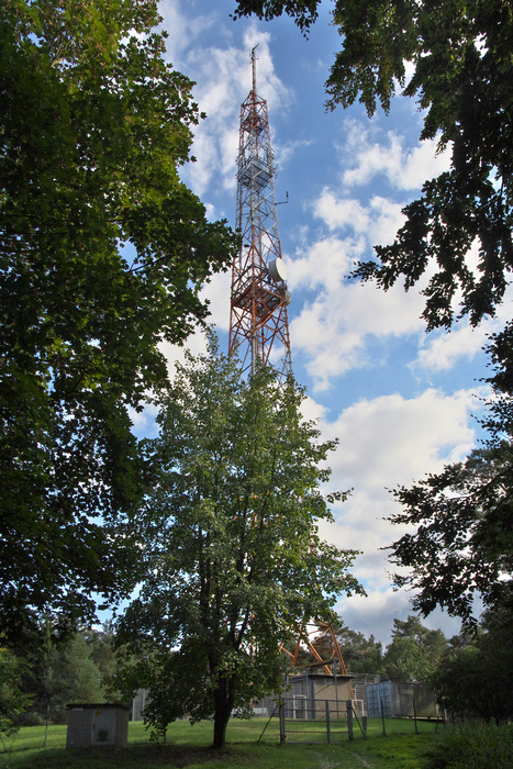 Auf dem Hardtberg