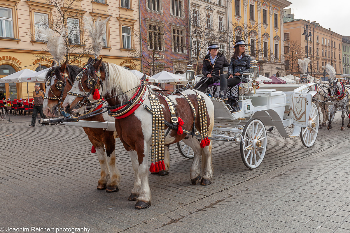 Auf dem Hauptmarkt in Krakau