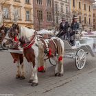 Auf dem Hauptmarkt in Krakau