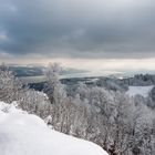 Auf dem Hausberg