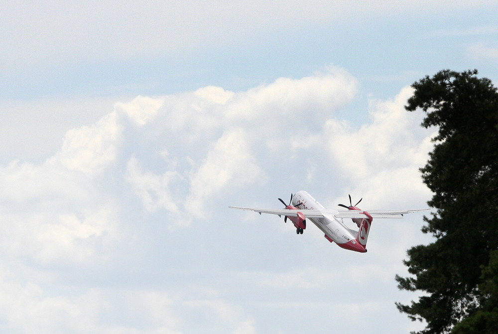 auf dem Heimflug