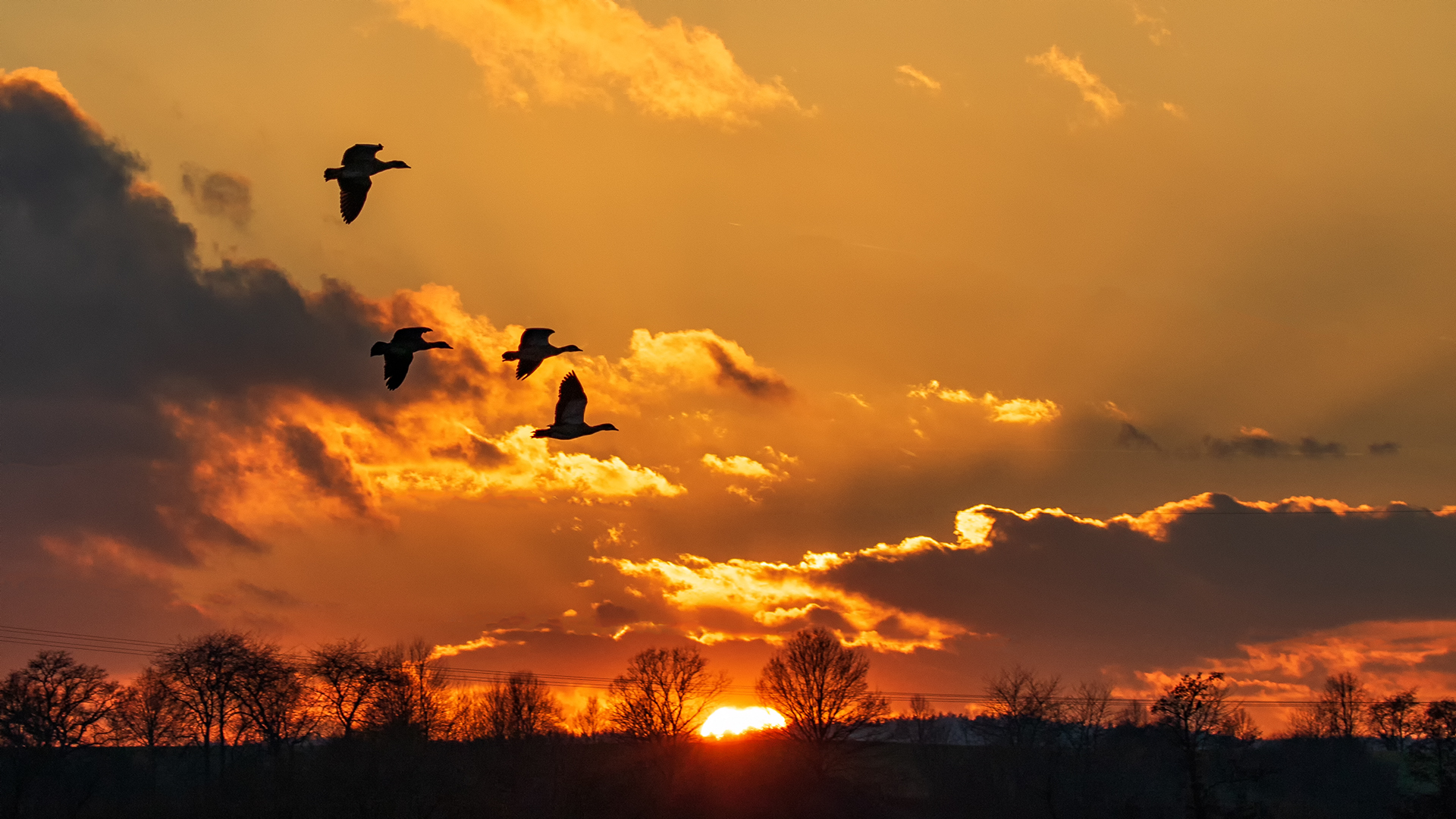 auf dem Heimflug