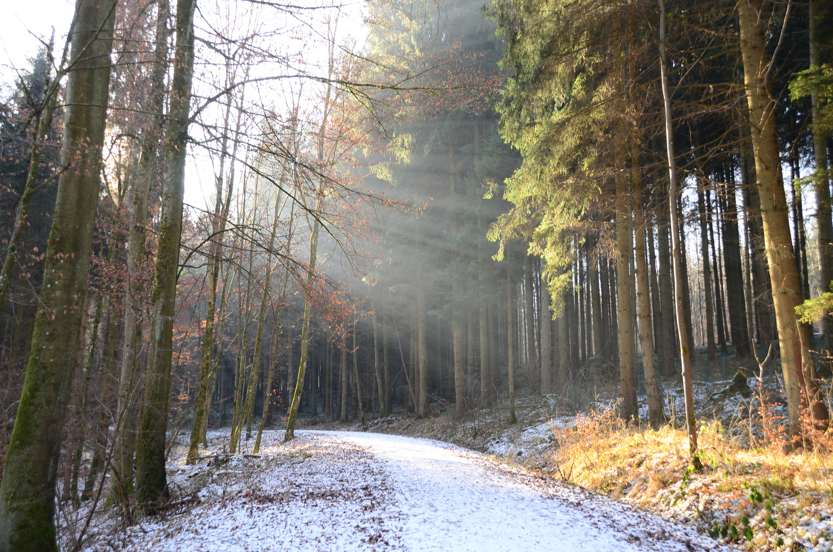 auf dem Heimweg