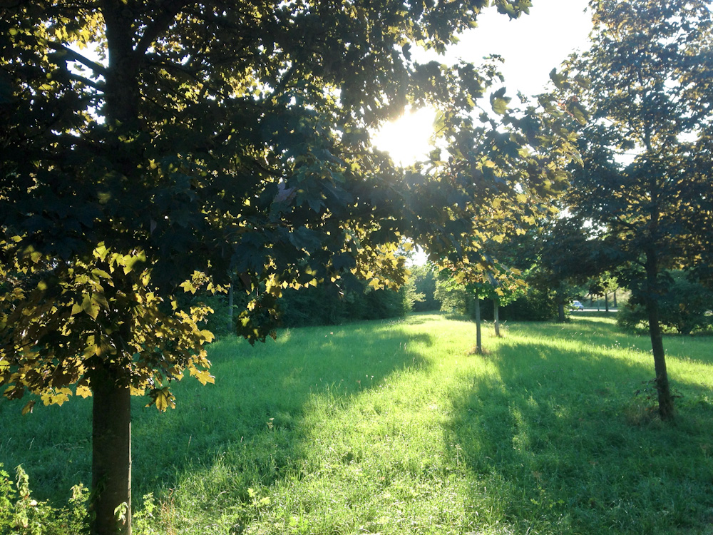 Auf dem Heimweg von Clemens Hegger 