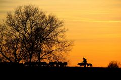 Auf dem Heimweg