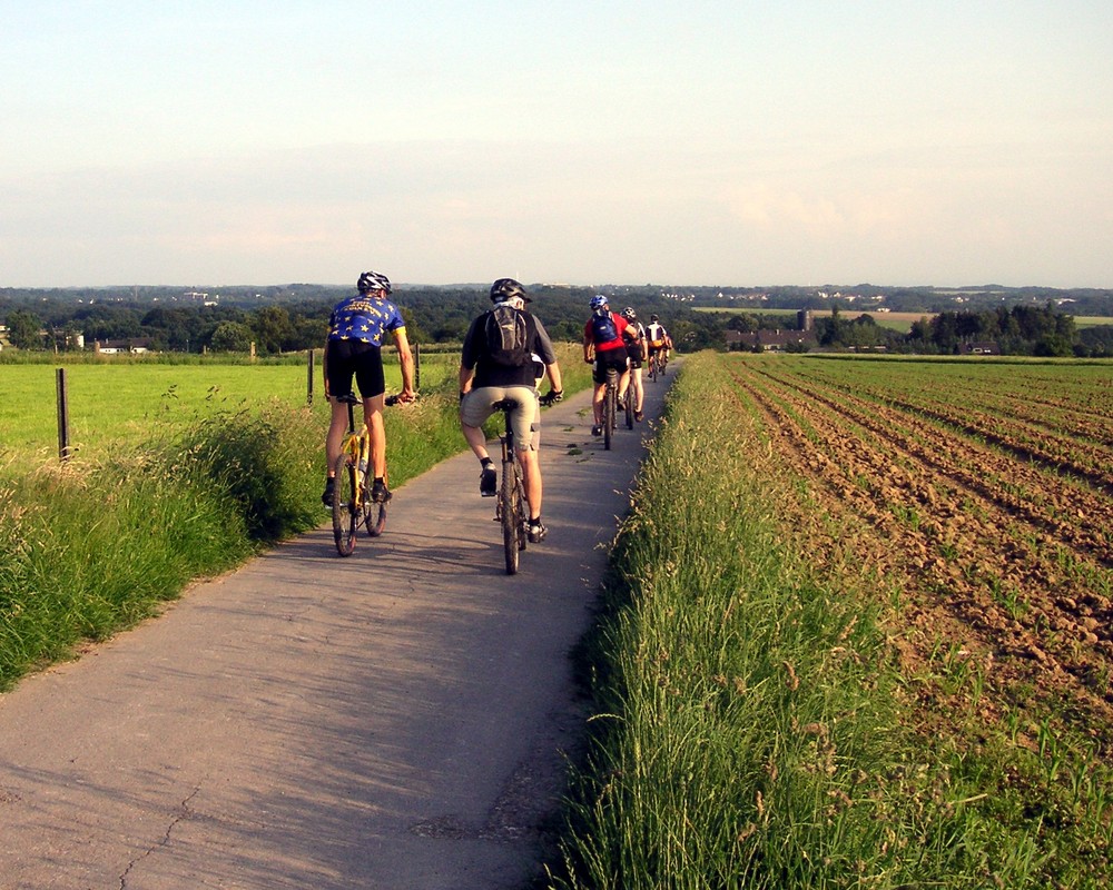 Auf dem Heimweg