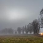 Auf dem Heimweg