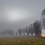 Auf dem Heimweg