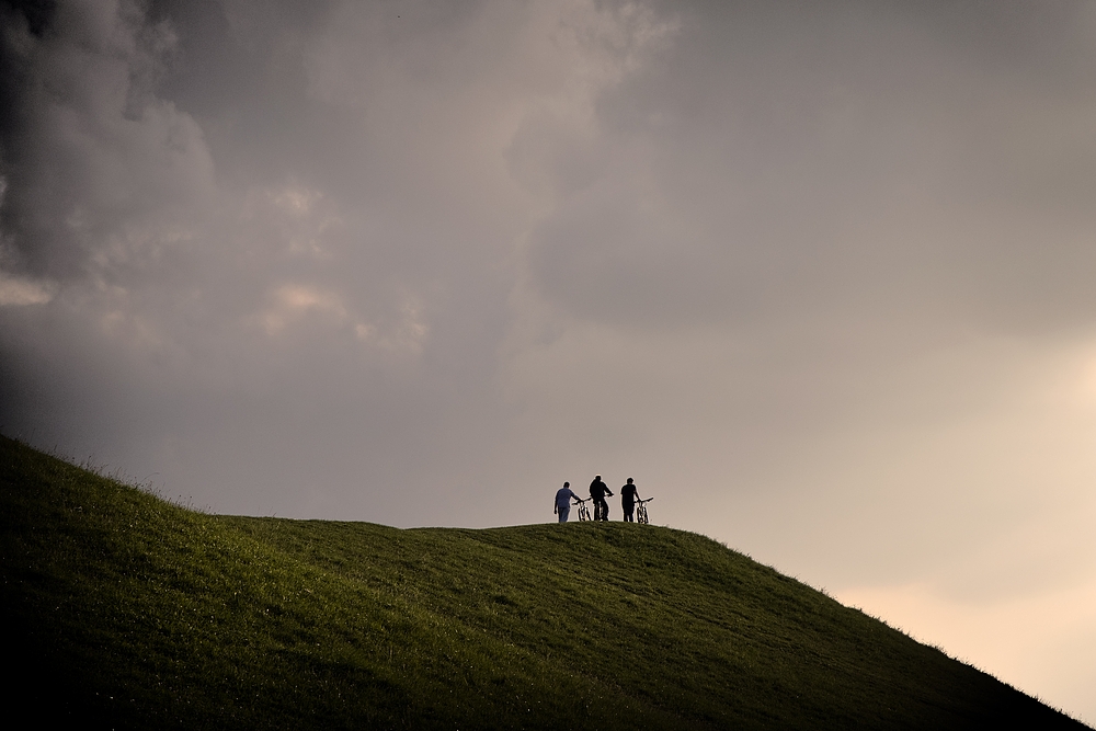 ... auf dem Heimweg ...