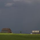 ... auf dem Heimweg ...