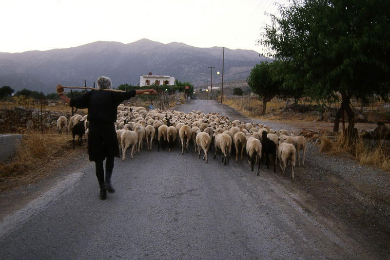 Auf dem Heimweg