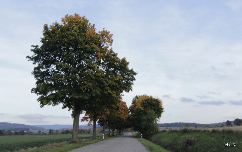 ...auf dem Heimweg...