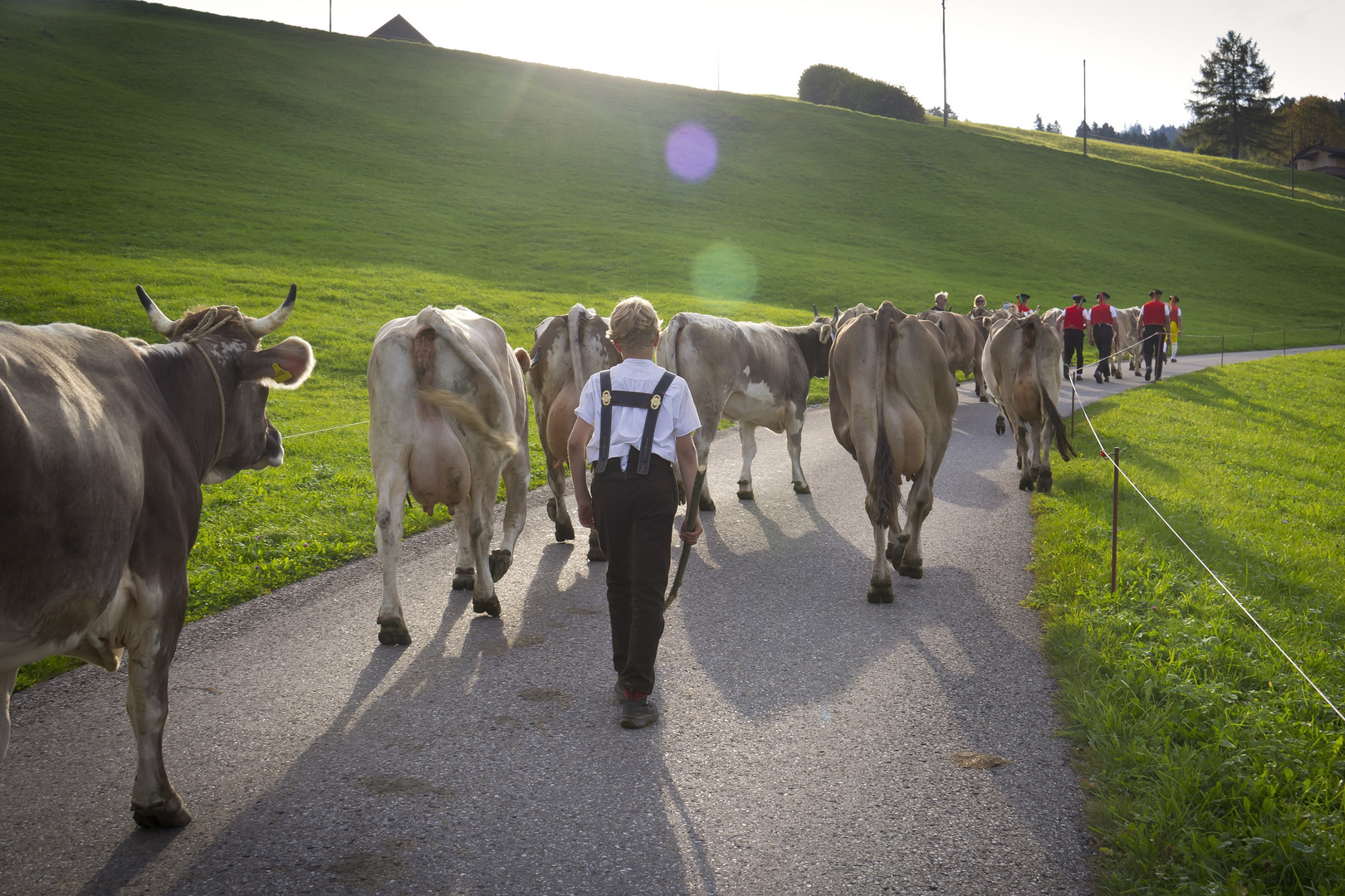 Auf dem Heimweg