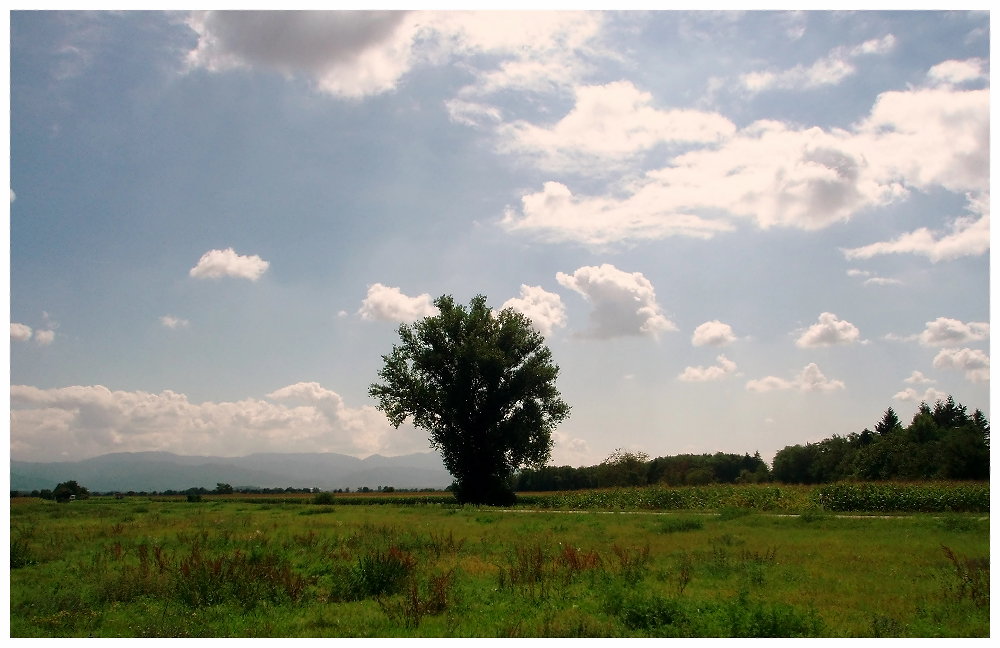 Auf dem Heimweg