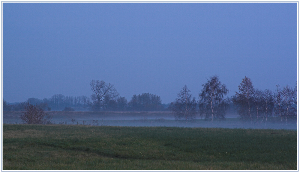 Auf dem Heimweg..