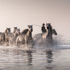 Auf dem Heimweg