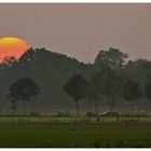 Auf dem Heimweg