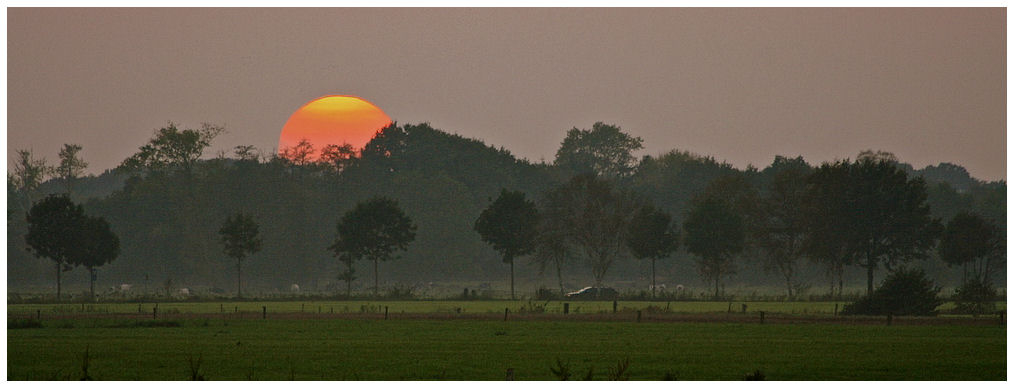 Auf dem Heimweg