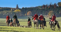 Auf dem Heimweg