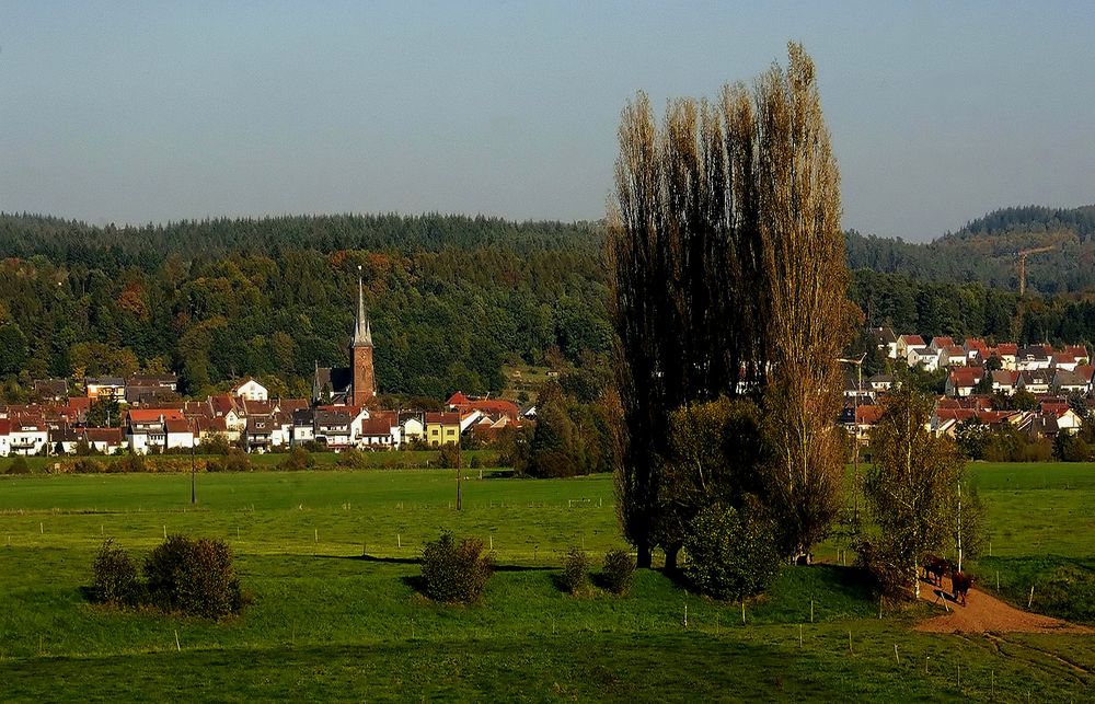 Auf dem Heimweg ....