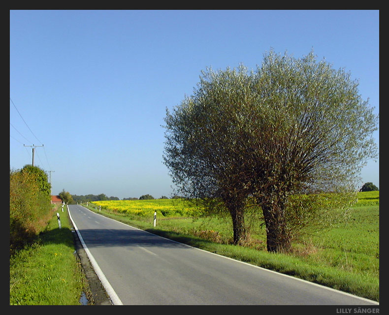 Auf dem Heimweg