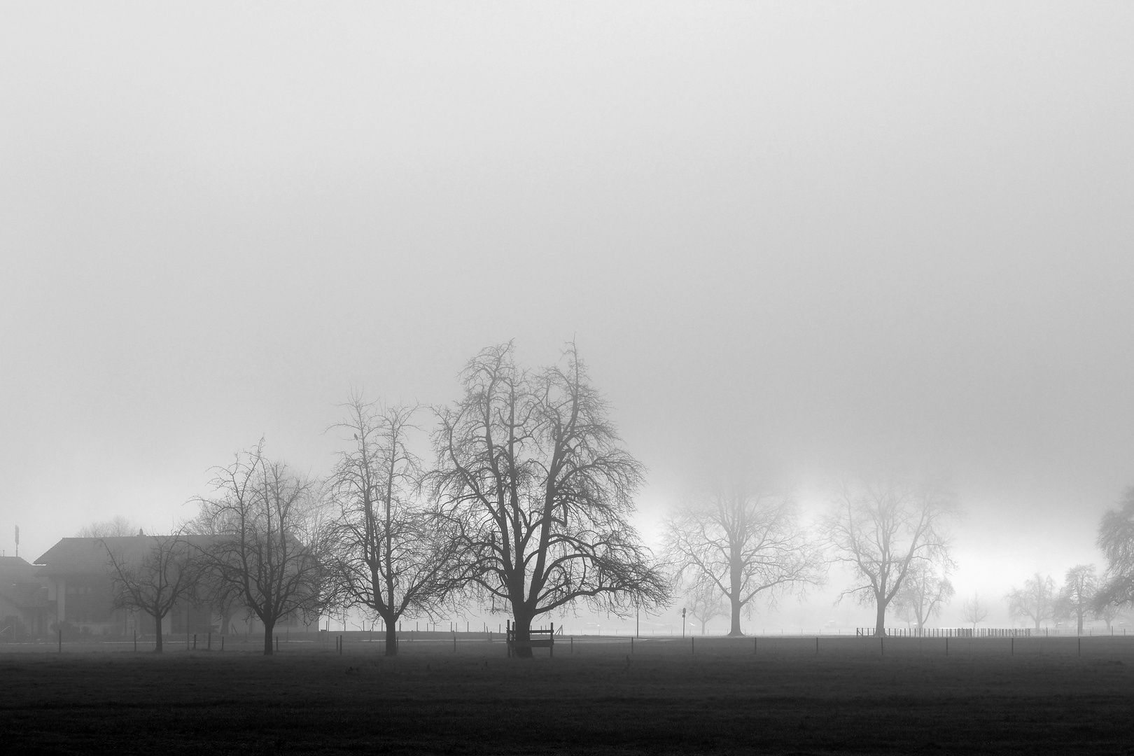 auf dem heimweg