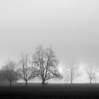 auf dem heimweg