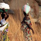 Auf dem Heimweg beim Dorf Koussoukoingou, Benin