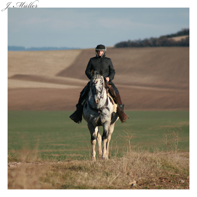 auf dem Heimweg