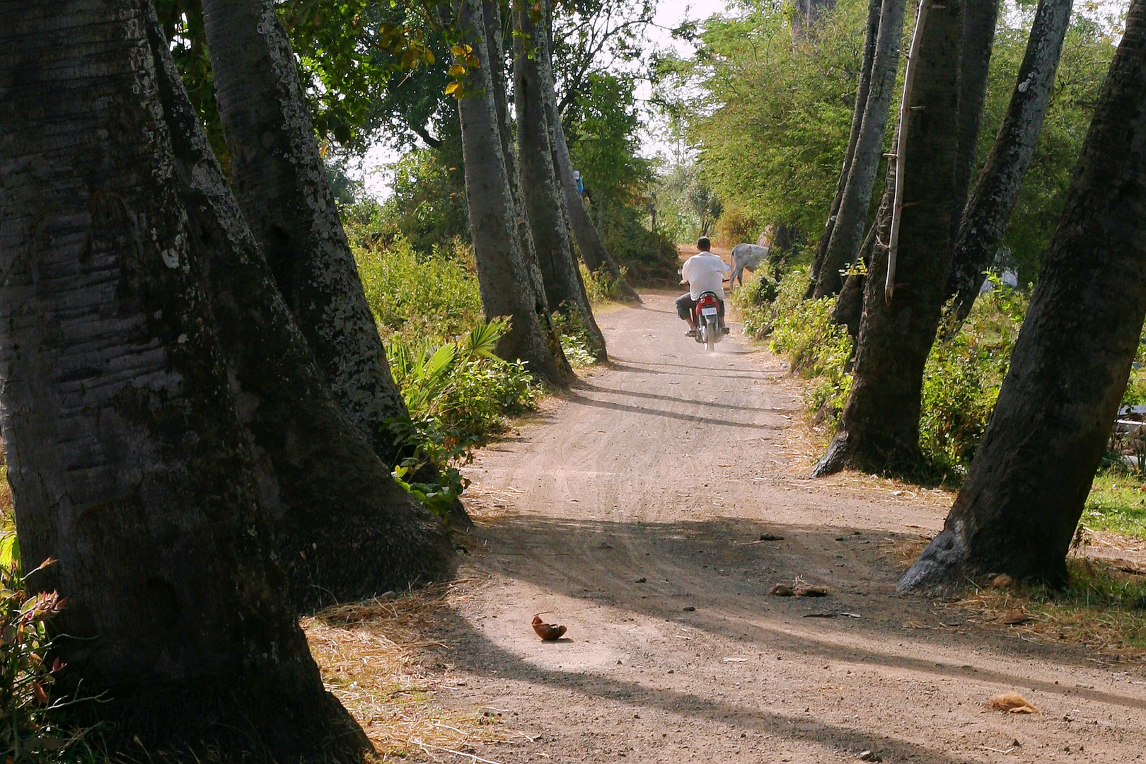 Auf dem Heimweg