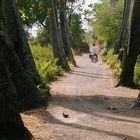 Auf dem Heimweg