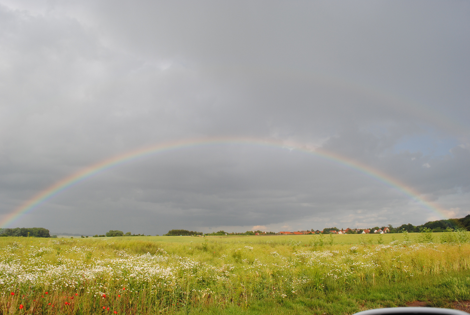 auf dem Heimweg erwischt 