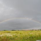 auf dem Heimweg erwischt 