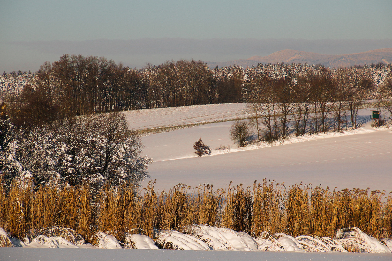 Auf dem Heimweg